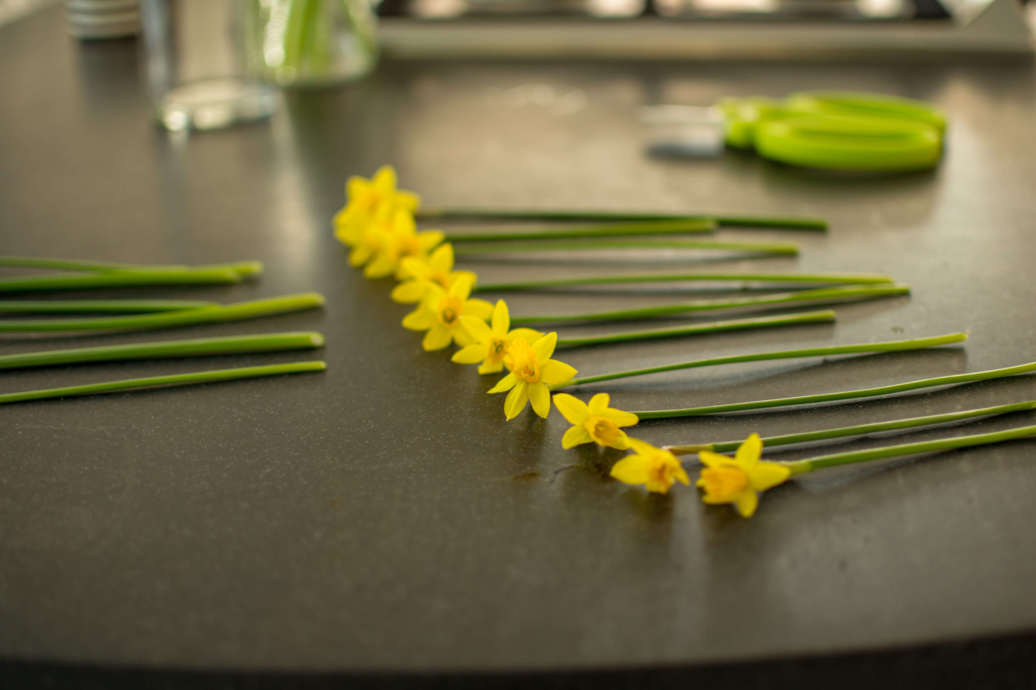 How to Create a Cut Flower Bed